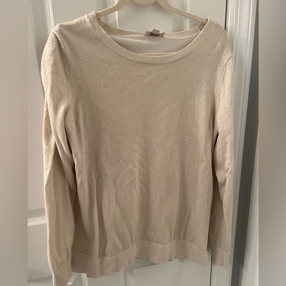 LOFT Sweaters - Loft outlet cream/gold metallic detail crew neck sweater XL